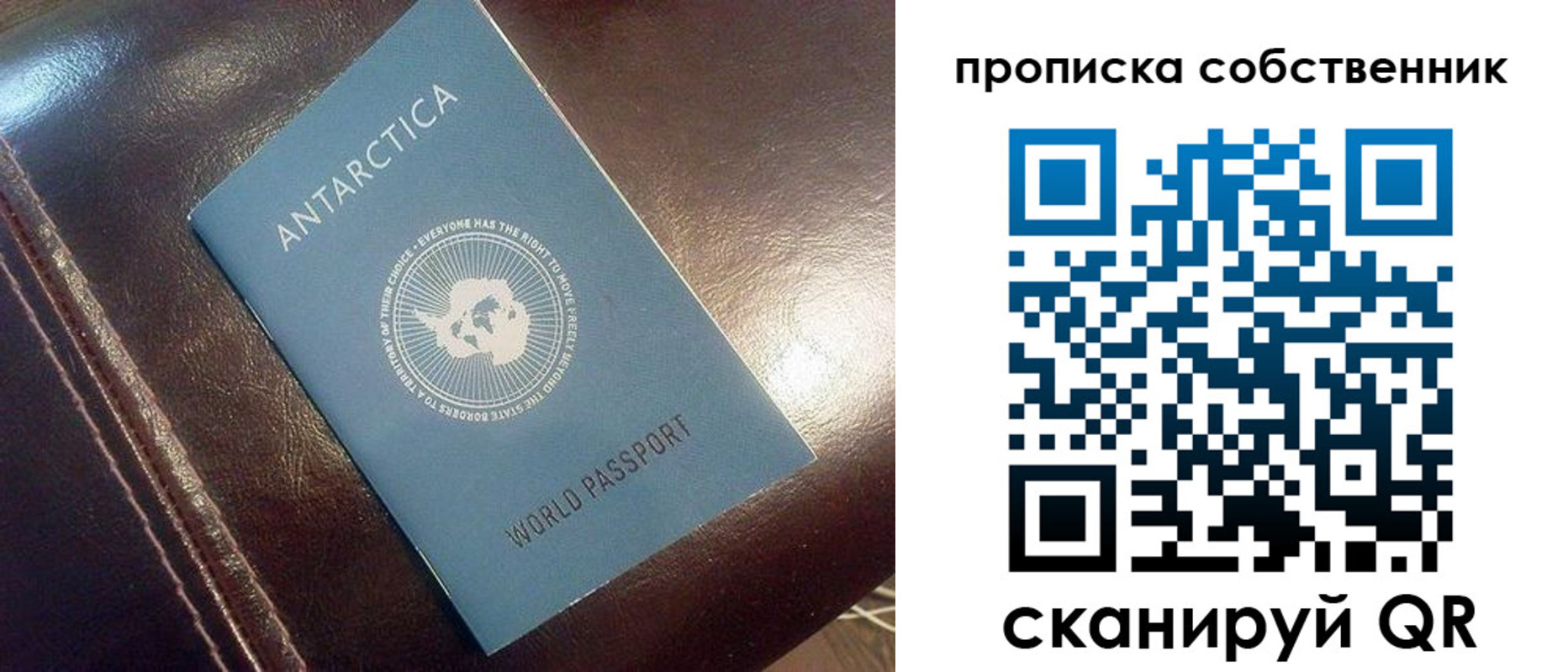 прописка поиск в Батайске